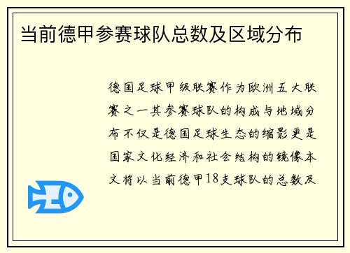当前德甲参赛球队总数及区域分布