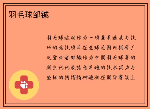 羽毛球邹铖